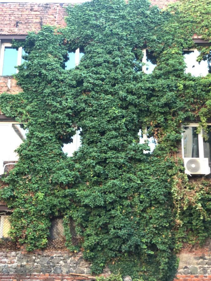 Center Dream House Appartement Sofia